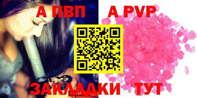 гашик Кингисепп
