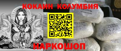 гашик Кингисепп