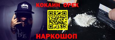 гашик Кингисепп