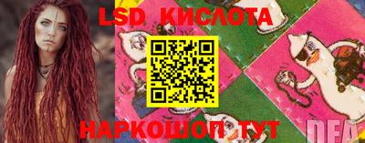 гашик Кингисепп