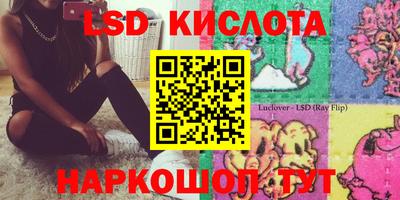 гашик Кингисепп