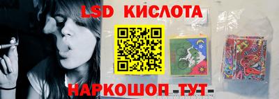 гашик Кингисепп