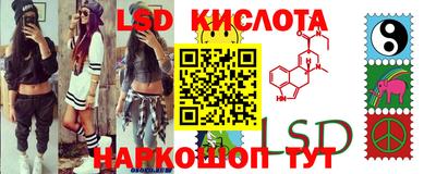 PSILOCYBIN Кинель