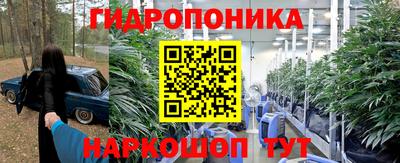 PSILOCYBIN Кинель