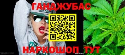гашик Кингисепп