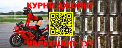 гашик Кингисепп