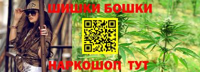 гашик Кингисепп