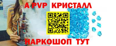 гашик Кингисепп