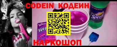 гашик Кингисепп
