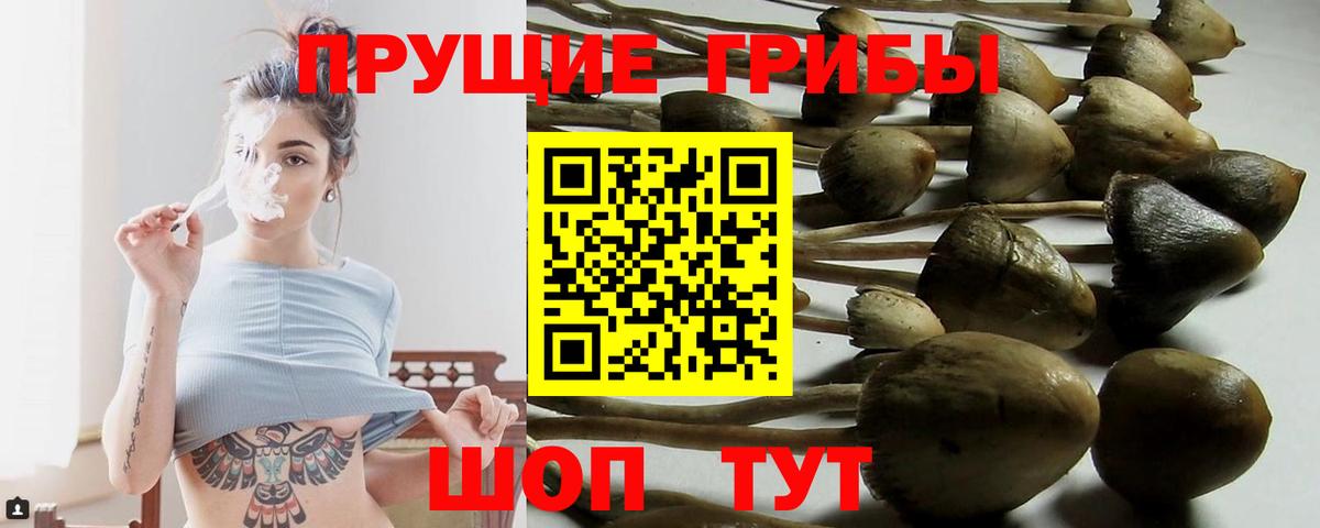 Кстово  Галлюциногенные грибы Magic Shrooms  Вход с VPN 